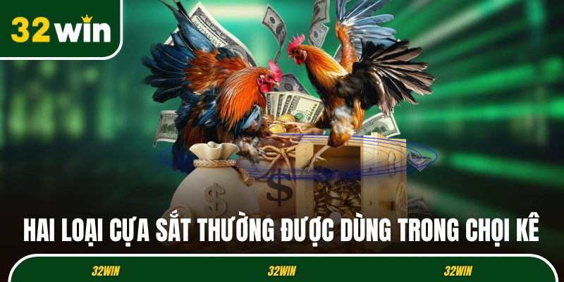 Hai loại cựa sắt thường được dùng trong chọi kê