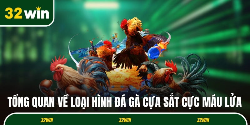 Tổng quan về loại hình đá gà cựa sắt cực máu lửa