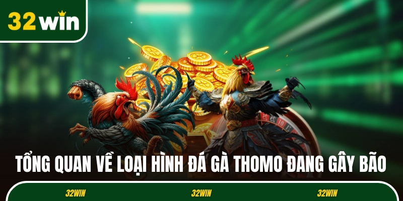 Tổng quan về loại hình đá gà Thomo đang gây bão